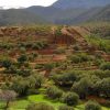 Ouirgane Day Trip from Marrakech – Copy Ouirgane Day Trip from Marrakech – Copy