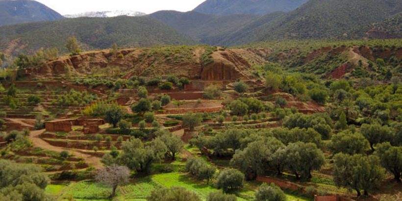 Ouirgane Day Trip from Marrakech – Copy Ouirgane Day Trip from Marrakech – Copy