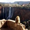 Ouzoud Waterfalls Private Excursion from Marrakech 2