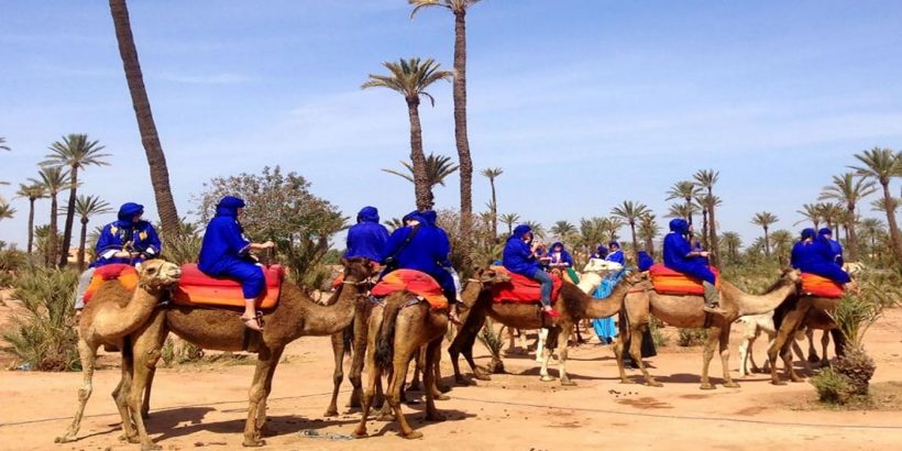 camel rideing in Marrakech camel rideing in Marrakech