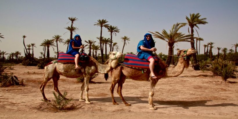 camel trek morocco camel trek morocco