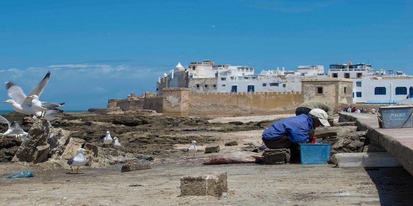 essaouira old medina port essaouira old medina port